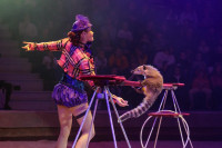 "Легенда": в тульском цирке – новая программа, Фото: 17