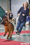 Выставка собак в Туле 26.01, Фото: 19