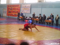 В Туле прошли соревнования по греко-римской борьбе, Фото: 1