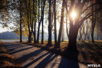 Центральный парк, утро, осень, Фото: 58