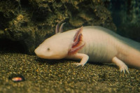 , Фото: 5