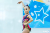 Тула провела крупный турнир по художественной гимнастике, Фото: 53