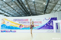 Тула провела крупный турнир по художественной гимнастике, Фото: 107