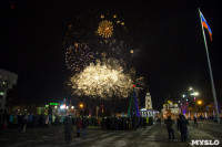 Фейерверк в честь 75-летия обороны Тулы, Фото: 6