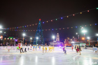Туляки отметили Старый Новый год ледовым шоу, Фото: 36