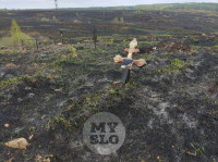 Сгоревшее кладбище в Алексине, Фото: 37