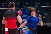 В «Тула-Арене» состоялись областные соревнования по ММА, Фото: 102