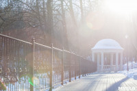 Морозное утро в Платоновском парке, Фото: 29