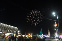 В Туле завершились новогодние гуляния, Фото: 40