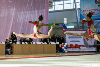 Всероссийские соревнования по художественной гимнастике на призы Посевиной, Фото: 22