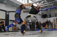 В Новомосковске прошел Чемпионат и Первенство Тульской области по ММА, Фото: 223