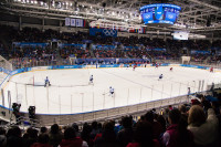 Женский хоккейный матч Канада-Финляндия. Зимняя Олимпиада в Сочи, Фото: 28