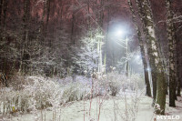 Зимняя сказка в Центральном парке, Фото: 26