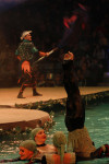 В Тульском цирке прошла премьера аква-шоу, Фото: 56