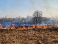В Федоровке огонь с горящего поля едва не перекинулся на дома, Фото: 21
