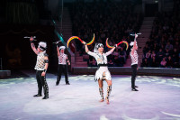 "Чудеса под Новый год" в Тульском цирке, Фото: 22