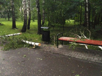 Комсомольский парк после шторма, Фото: 1