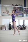 Соревнования по спортивной гимнастике на призы Заслуженных мастеров спорта , Фото: 43