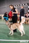 Выставка собак в Туле 24.11, Фото: 139