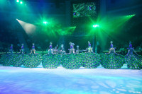 Шоу Гии Эрадзе «5 континентов» в Тульском цирке: феерия уже началась!, Фото: 37