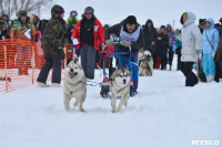 Праздник северных собак на Куликовом поле , Фото: 78