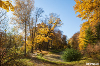 Золотая осень в Ясной Поляне, Фото: 23