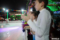 Туляки отметили Старый Новый год ледовым шоу, Фото: 33