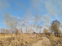 В Федоровке огонь с горящего поля едва не перекинулся на дома, Фото: 28