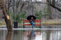 В Туле затопило Баташевский сад, Фото: 45