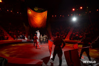 День Победы в Тульском цирке: большой концерт и патриотический спектакль, Фото: 150