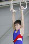 Первый этап Всероссийских соревнований по спортивной гимнастике среди юношей - «Надежды России»., Фото: 10
