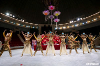 Грандиозное цирковое шоу «Песчаная сказка» впервые в Туле!, Фото: 29