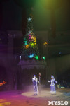 «Чудеса Новогодней Ёлки» ждут вас в Тульском цирке, Фото: 99