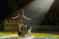 "Легенда": в тульском цирке – новая программа, Фото: 23
