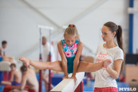 Тульские гимнастки готовятся к первенству России, Фото: 41