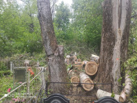 В Черни во время уборки на кладбище могилы завалили спиленными деревьями, Фото: 6