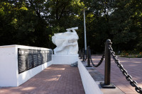 Кимовск-Донской-Новомосковск-Узловая, Фото: 4