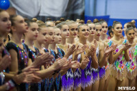 Всероссийские соревнования по художественной гимнастике на призы Посевиной, Фото: 19
