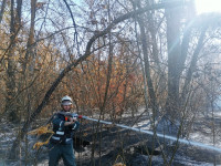100 туляков тушат лесные пожары под Воронежем, Фото: 7
