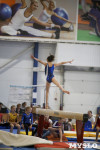 Спортивная гимнастика в Туле 3.12, Фото: 156