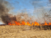 В Федоровке огонь с горящего поля едва не перекинулся на дома, Фото: 20