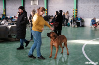 Выставка собак в Туле 24.11, Фото: 57