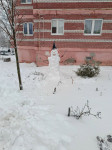 Туляки делятся фотографиями своих снеговиков, Фото: 3