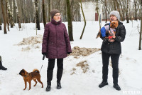 В Комсомольском парке прошёл рейд по выявлению собачников-нарушителей, Фото: 25