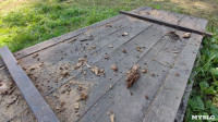 Разобрали деревянного лося, Фото: 2