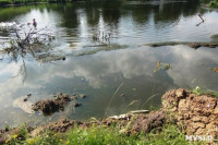 Отравленный пруд в Апасово, Фото: 2