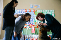 Выставка собак в Туле, Фото: 5