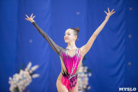 Соревнования по художественной гимнастике на призы благотворительного фонда «Земляки», Фото: 78