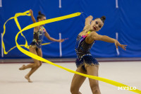 В Туле стартовало первенство Центрального федерального округа по художественной гимнастике, Фото: 44
