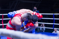 В Туле прошли финальные бои Всероссийского турнира по боксу, Фото: 101